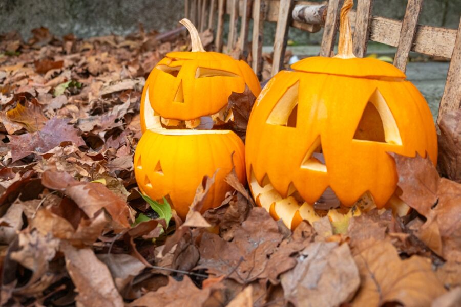 Halloween Dekoration mieten